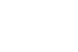 Blinkit