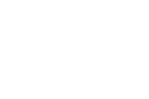 Publicis