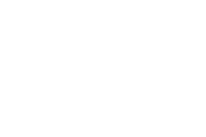 ZSG
